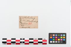 Etiketten zu Bronzemehrkopfnadel (NHMW-PRAE-024321)